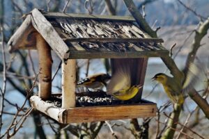Vogelfutterhaus im Garten